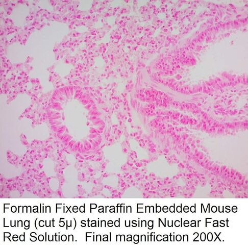 محلول أحمر سريع نووي، 1000 مل in Kuwait