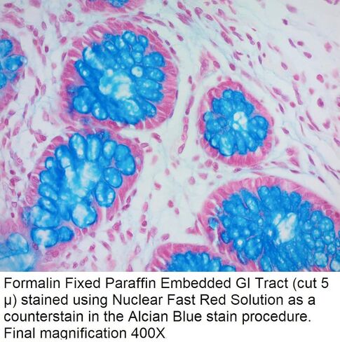 محلول أحمر سريع نووي، 1000 مل in Kuwait