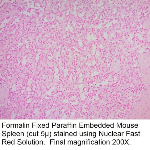 محلول أحمر سريع نووي، 1000 مل in Kuwait