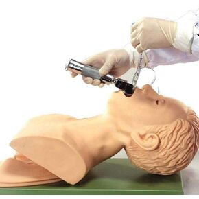 Training Manikin,Intubation Manikin Study Teaching Model Tracheal Intubation Teach Training Nurse Lab in Kuwait