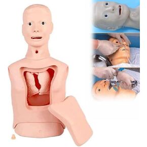 Intubation Gastric Tube Model Training Manikin Advanced Nasogastric Tube and Trachea Care Model Gastric Lavage Tracheostomy Model for Nurse and Medical Students in Kuwait