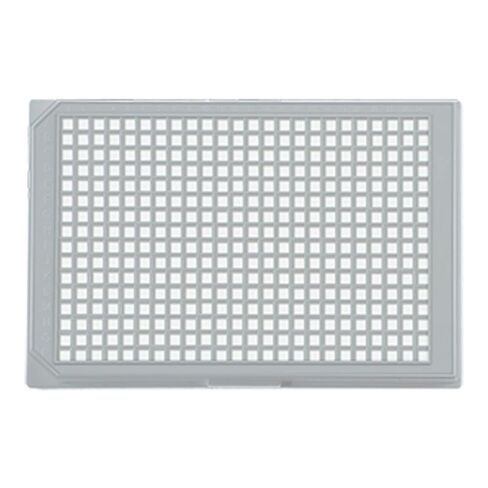 BrandTech 781626 بوليسترين F-Bottom 384 Well Brandplates Microplate، غير معالجة، سعة بئر 120 ميكرولتر، أبيض (عبوة من 50) in Saudi Arabia