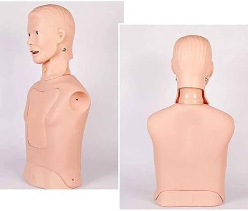 نموذج تدريب طبي متعدد الوظائف للتنبيب الأنفي المعدي وممارسة العناية بفتح القصبة الهوائية in Kuwait