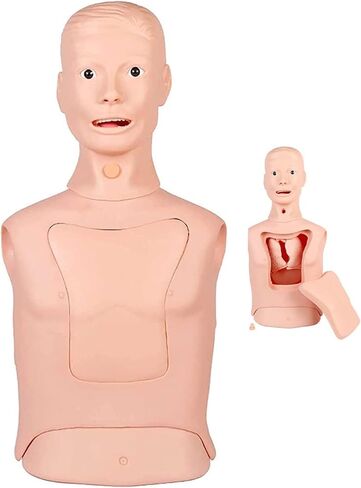 Endotracheal Intubation Gastric Tube Model Half Body Mannequin for Nursing Practice Simulator Manikin Gastric Tube Nasogastric Feeding Training Model Gastric Lavage Tracheostomy Model in Kuwait