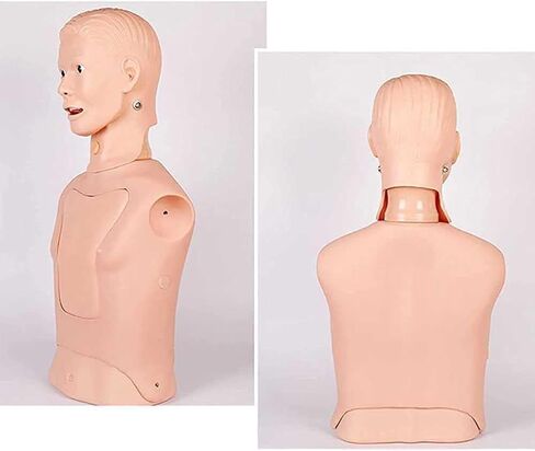 Endotracheal Intubation Gastric Tube Model Half Body Mannequin for Nursing Practice Simulator Manikin Gastric Tube Nasogastric Feeding Training Model Gastric Lavage Tracheostomy Model in Kuwait