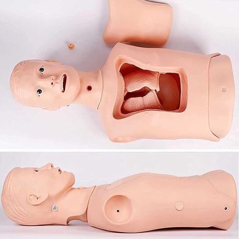 Endotracheal Intubation Gastric Tube Model Half Body Mannequin for Nursing Practice Simulator Manikin Gastric Tube Nasogastric Feeding Training Model Gastric Lavage Tracheostomy Model in Kuwait
