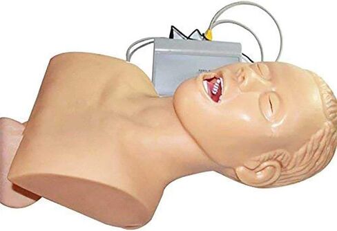 Training Manikin,Intubation Manikin Study Teaching Model Tracheal Intubation Teach Training Nurse Lab in Kuwait
