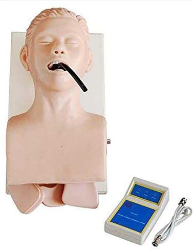 Training Manikin,Intubation Manikin Study Teaching Model Tracheal Intubation Teach Training Nurse Lab in Kuwait