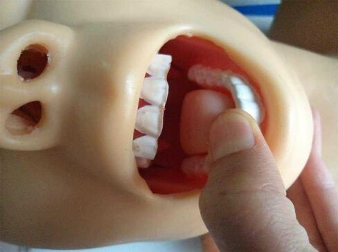 Training Manikin,Intubation Manikin Study Teaching Model Tracheal Intubation Teach Training Nurse Lab in Kuwait