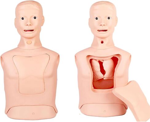 Intubation Gastric Tube Model Training Manikin Advanced Nasogastric Tube and Trachea Care Model Gastric Lavage Tracheostomy Model for Nurse and Medical Students in Kuwait