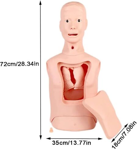 Intubation Gastric Tube Model Training Manikin Advanced Nasogastric Tube and Trachea Care Model Gastric Lavage Tracheostomy Model for Nurse and Medical Students in Kuwait