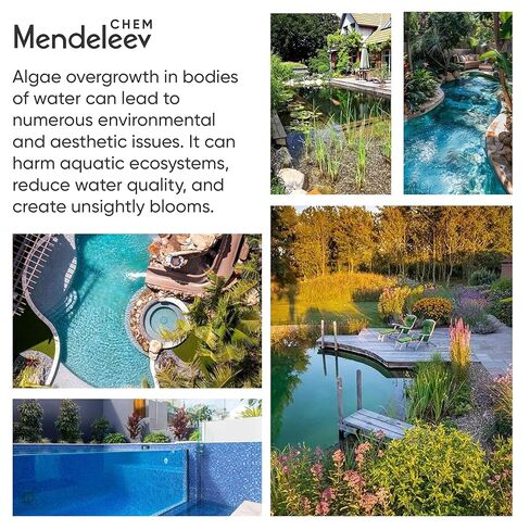 50 رطلًا من بلورات كبريتات النحاس، حبيبات خالية من EPA in Kuwait