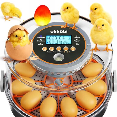12 Egg Incubator with Automatic Egg Turning and Humidity Control – Temperature Adjustment – incubators for Hatching Eggs – Built-in Egg Candler – Incubadora de Huevos de Gallina – Easy to Use in Saudi Arabia