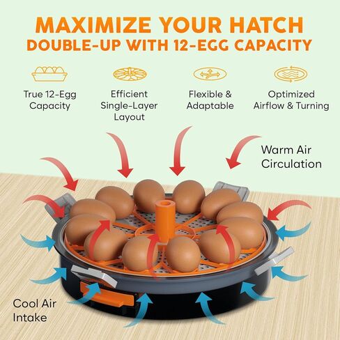 12 Egg Incubator with Automatic Egg Turning and Humidity Control – Temperature Adjustment – incubators for Hatching Eggs – Built-in Egg Candler – Incubadora de Huevos de Gallina – Easy to Use in Kuwait