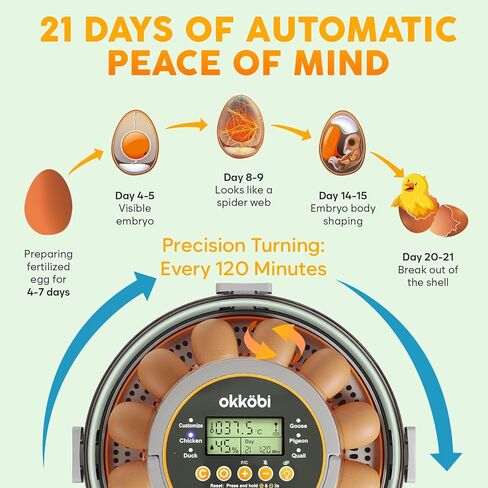 12 Egg Incubator with Automatic Egg Turning and Humidity Control – Temperature Adjustment – incubators for Hatching Eggs – Built-in Egg Candler – Incubadora de Huevos de Gallina – Easy to Use in Saudi Arabia