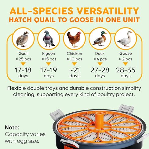 12 Egg Incubator with Automatic Egg Turning and Humidity Control – Temperature Adjustment – incubators for Hatching Eggs – Built-in Egg Candler – Incubadora de Huevos de Gallina – Easy to Use in Kuwait
