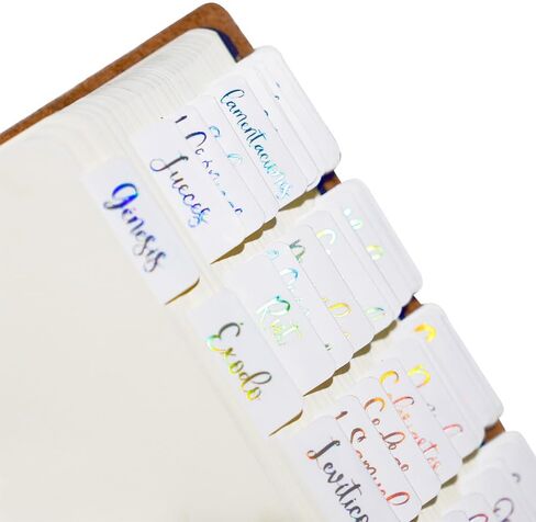 Idyllic Grace - Pestañas de la Biblias, Spanish Bible Tabs, Rose Gold Foil, Study Tool, Journaling, Old and New Testament, Christian, Catholic, Index Tabs, Glossy Laminated, Durable - Be The Light in Kuwait