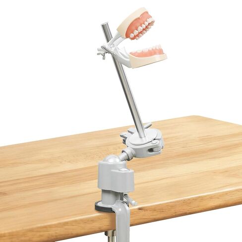 Dental Teeth Model Typodont Mounting Pole Set (Teeth Model Not Included), Desktop Fixed Support 360° Adjustable Rotating Stand for Dental Training Education Lecture in Kuwait