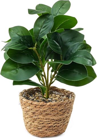 نباتات ficus مزيفة 14.5 بوصة طول النباتات الداخلية الاصطناعية مع أوراق الحياة الخضراء في وعاء رمادي أسود للمنزل المنزلي في الهواء الطلق أواني الشرفة زخارف زخرفة in Kuwait