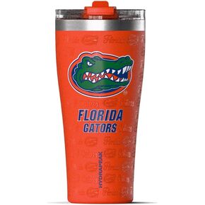 كوب من الفولاذ المقاوم للصدأ سعة 25 أونصة من Hydrapeak مرخص رسميًا من Florida Gators Roamer، أكواب معزولة، زجاجة مياه مع شفاطة in Kuwait