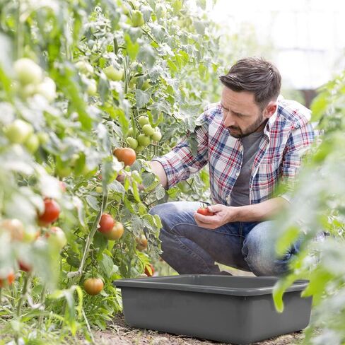 صندوق فابابا التجاري البلاستيكي 12 عبوة، حوض حافلة المطبخ سعة 13 لتر، رمادي in Kuwait