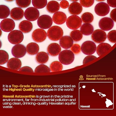 علكة أستازانتين، 12 ملغ لكل علكة 24 ملغ كحد أقصى، مكملات أستازانتين مع فيتامين أ/ج/د/ه، ريسفيراترول، مزيج مضادات الأكسدة 14 في 1 للنساء والرجال والبشرة والعينين ودعم المناعة، خالي من السكر، نباتي، 60 قيراط in Kuwait