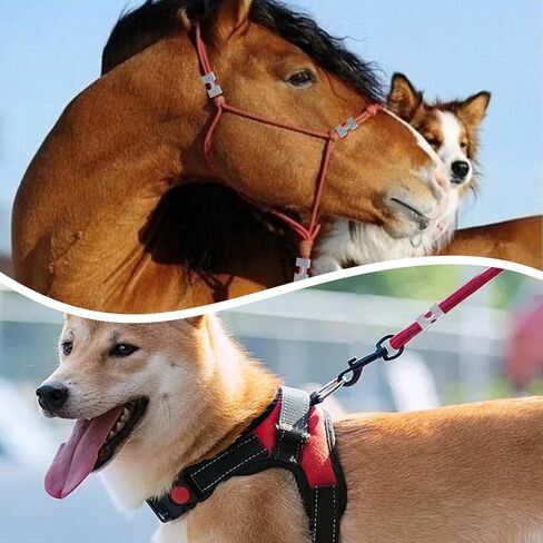 30Pcs Rope Clamps Heavy Duty Double Clips Loop End Clip for Rope Fixing Fits 3/8" to 1/2" Twisted or Braided Ropes (10-12mm) in Kuwait