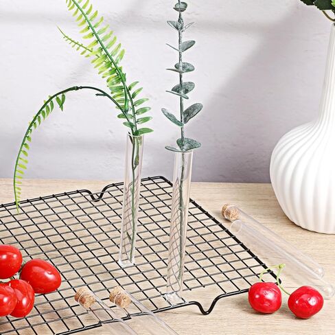 10 قطع أنابيب اختبار شفافة مع سدادات الفلين 16 × 150 مم (15 مل) حاويات أنبوب اختبار سفلية مستديرة قوارير بلاستيكية شفافة مع غطاء عازل لتخزين سائل خرز بذور المجوهرات in Saudi Arabia