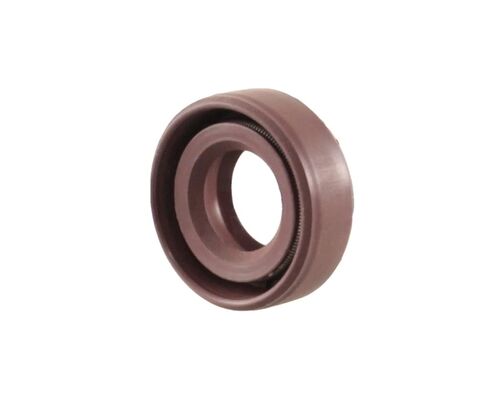EAI 10mm x 18mm x 5mm FPM/FKM TC Double Lip w/Stainless Steel Spring Oil Seal. Comp. /w Viton Shaft Seal in Saudi Arabia