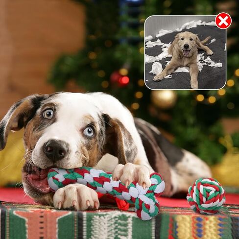 6 Pack Puppy Rope Toys, Dog Rope Toys for Small Dogs, Dog Tug Rope, Puppy Teething Rope for Teeth Cleaning and Chewing, Keep The Dog from Being Bored, Variety of Dog Cotton Rope Toys, Blue in Saudi Arabia