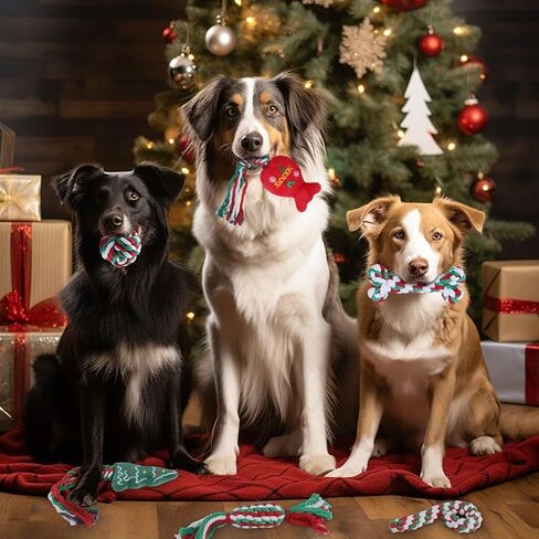6 Pack Puppy Rope Toys, Dog Rope Toys for Small Dogs, Dog Tug Rope, Puppy Teething Rope for Teeth Cleaning and Chewing, Keep The Dog from Being Bored, Variety of Dog Cotton Rope Toys, Blue in Saudi Arabia