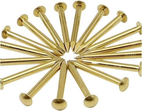أظافر نحاسية صغيرة مقاس 1.2 مم - مشابك نحاسية ذات رأس دائري للأعمال الخشبية وصناعة النماذج والحرف اليدوية (لون ذهبي مقاس صغير 8 مم × 239 قطعة) (الطول 10 مم) in Kuwait