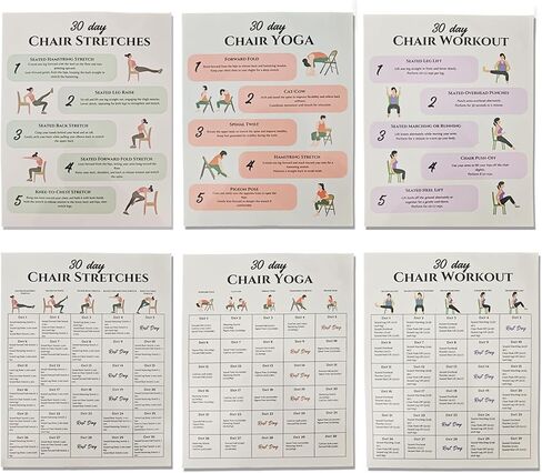 Chair Exercise Chart for Seniors, Chair Workout Poster for Seniors & Beginners 30-Day Stretching and Gentle Seated Exercise Chart in Kuwait