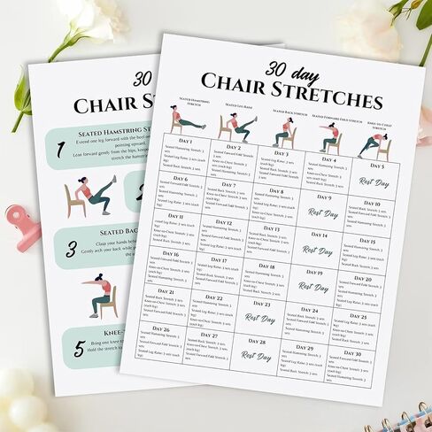 Chair Exercise Chart for Seniors, Chair Workout Poster for Seniors & Beginners 30-Day Stretching and Gentle Seated Exercise Chart in Kuwait
