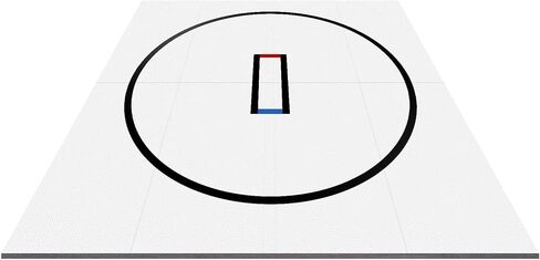 10x10ft نشمر تصميم المصارعة حصيرة المحمولة MMA/BJJ/الجودو/الجمباز التدريب حصيرة للتصارع فنون الدفاع عن النفس الملاكمة in Kuwait