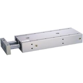 TR Double-axis Cylinder (Double-Acting Type), TR25X125S in Kuwait