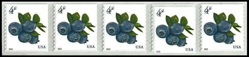 Blueberries 2022 4-Cent (Sheet of 20) Four-Cent Denominated Mail-use Additional Postage Stamps in Kuwait