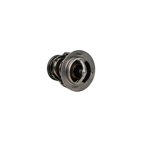 Takeuchi Thermostat Y129155-49801 in Saudi Arabia