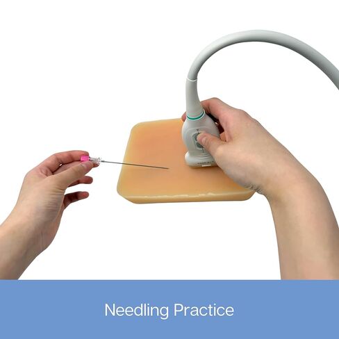 وسادة ممارسة الموجات فوق الصوتية؛ نموذج تدريب بالموجات فوق الصوتية لممارسة إدخال الإبرة - وسادة محاكاة الأوعية الدموية والأعصاب للتعليم الطبي (وسادة الأوعية الدموية والكتلة) in Kuwait