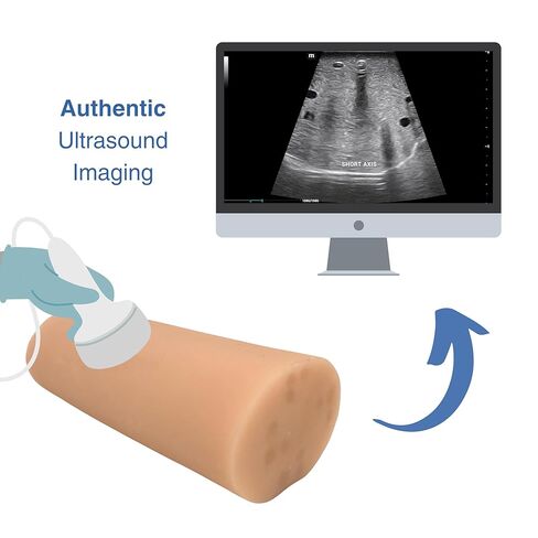 فانتوم الوصول إلى الأوعية الدموية بالموجات فوق الصوتية - نموذج الذراع للتدريب على الوريد والقسطرة in Kuwait