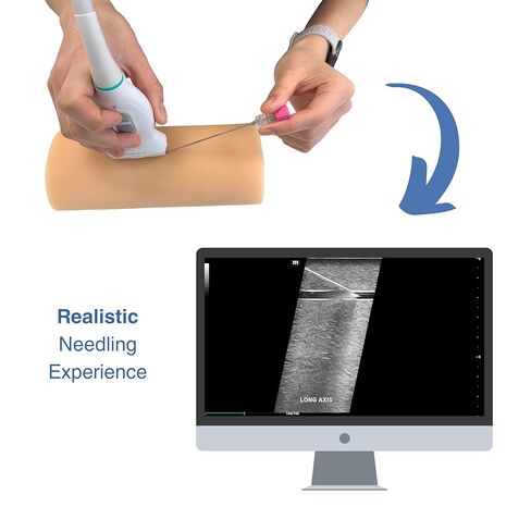 فانتوم الوصول إلى الأوعية الدموية بالموجات فوق الصوتية - نموذج الذراع للتدريب على الوريد والقسطرة in Kuwait