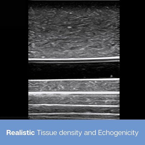 وسادة ممارسة الموجات فوق الصوتية؛ نموذج التدريب بالموجات فوق الصوتية لممارسة إدخال الإبرة . وسادة محاكاة الأوعية الدموية للتعليم الطبي in Kuwait