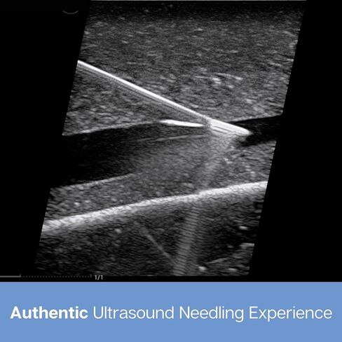 وسادة ممارسة الموجات فوق الصوتية؛ نموذج التدريب بالموجات فوق الصوتية لممارسة إدخال الإبرة . وسادة محاكاة الأوعية الدموية للتعليم الطبي in Kuwait