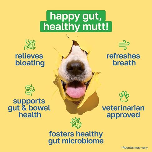 Probiotic Gut Health Support for Dogs, Soft Chews with Probiotics, Pumpkin Seed, Sweet Potato, Fennel, Coconut Oil & Coral Calcium, Organic, Non GMO, Vegan, Chicken Flavor, 100 Count in Kuwait