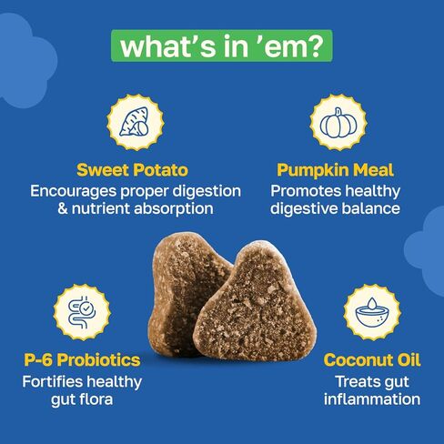 Probiotic Gut Health Support for Dogs, Soft Chews with Probiotics, Pumpkin Seed, Sweet Potato, Fennel, Coconut Oil & Coral Calcium, Organic, Non GMO, Vegan, Chicken Flavor, 100 Count in Kuwait