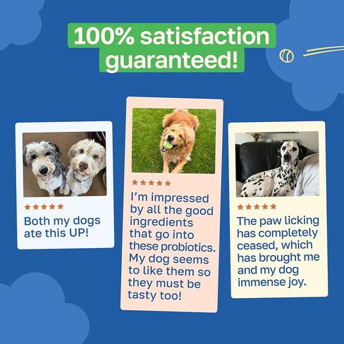 Probiotic Gut Health Support for Dogs, Soft Chews with Probiotics, Pumpkin Seed, Sweet Potato, Fennel, Coconut Oil & Coral Calcium, Organic, Non GMO, Vegan, Chicken Flavor, 100 Count in Kuwait