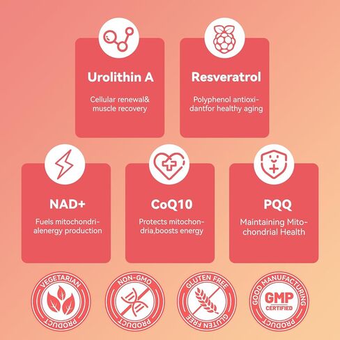 مضغ Urolithin A، ملحق Urolithin A+ مع NAD+، CoQ10، ريسفيراترول، PQQ لدعم الميتوكوندريا، قوة العضلات وطول العمر، نباتي، خالي من السكر، قابل للمضغ 60 قيراط in Kuwait