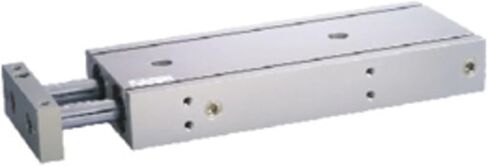 TR Double-axis Cylinder (Double-Acting Type), TR25X125S in Kuwait