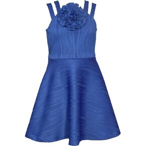 Bonnie Jean Girls Size 7-16 Crinkle-Pleat Knit Rosette Skater Dress