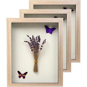 Shadow Box Frame Display Case with Stickers , 8x10 Inches 3D Picture Frame, Display Case Box for Flowers, Memorabilia, Crafts, Photos, Medals and Tickets,3Pcs-Black